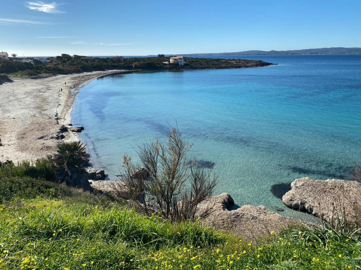 I Fenicotteri - Appartamenti Sul Mare กาลาเซตตา ภายนอก รูปภาพ