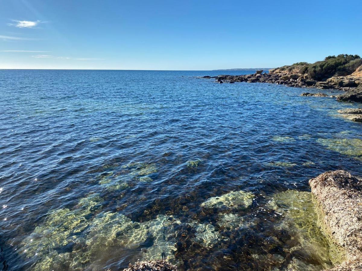 I Fenicotteri - Appartamenti Sul Mare กาลาเซตตา ภายนอก รูปภาพ